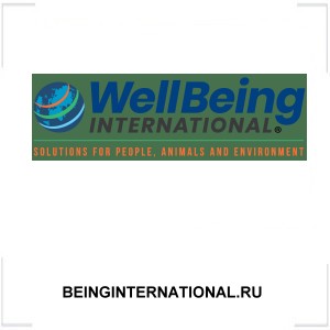 BEINGINTERNATIONAL.RU