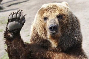 HUNTRUSSIA.RU HUNTRUSSIA.RU